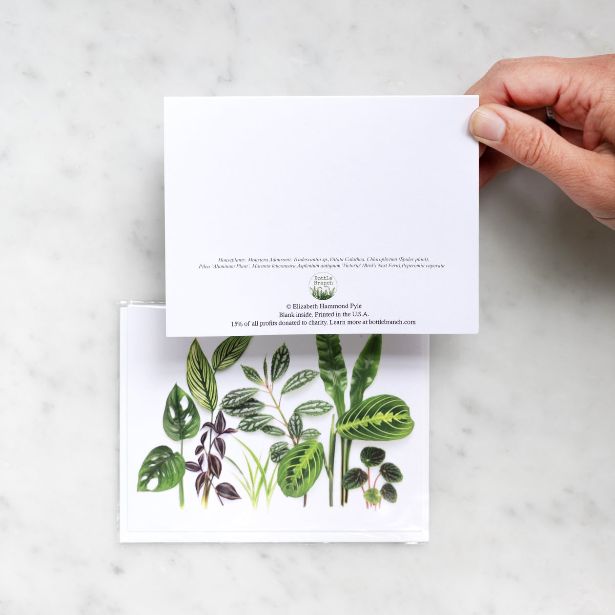 Folding card - Houseplants 1