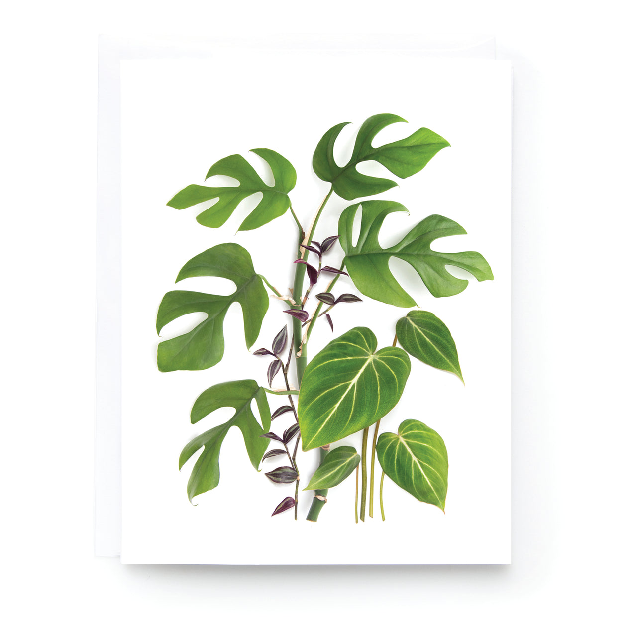 Folding card - Houseplants 2 (vertical)