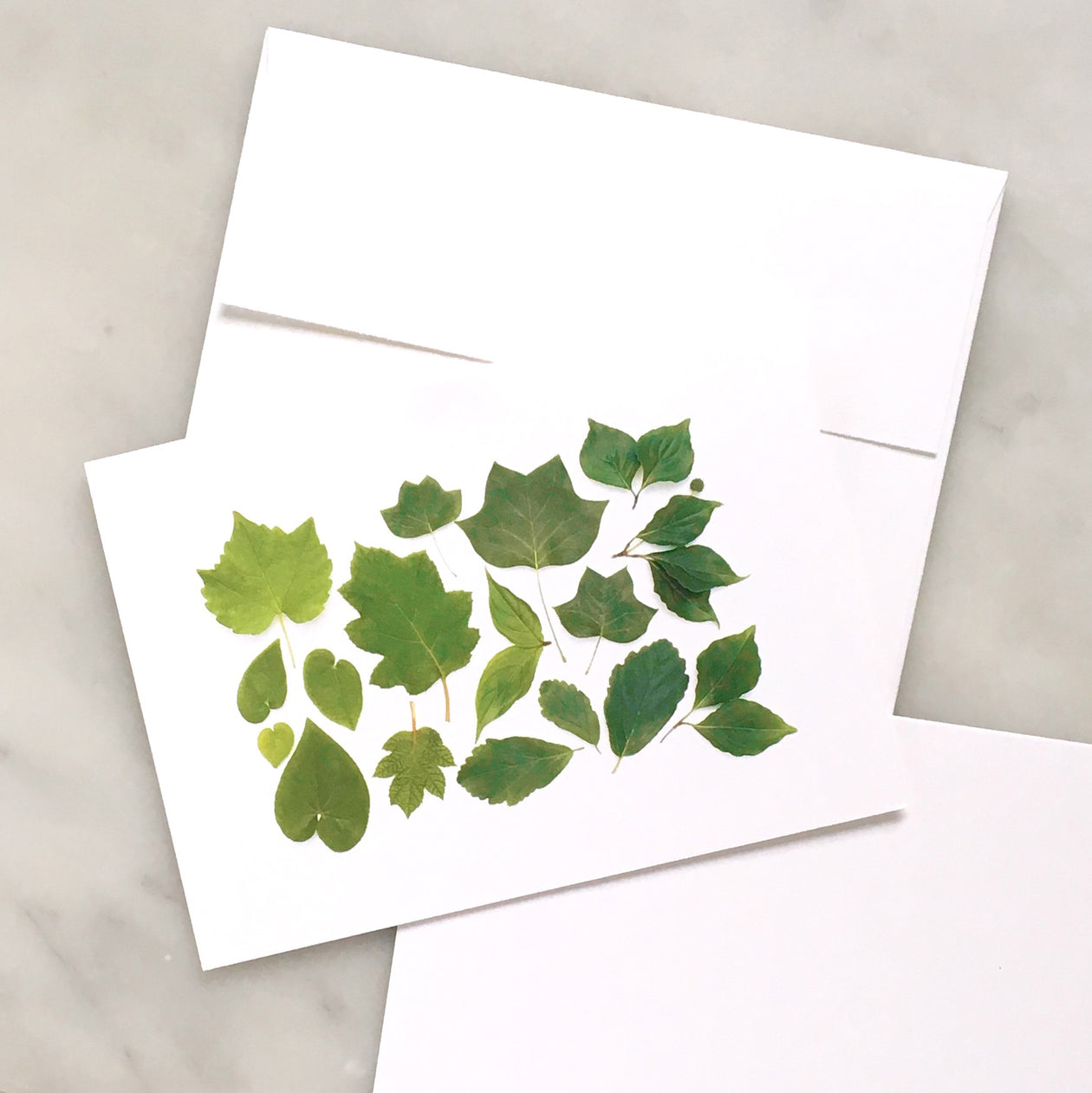 Folding card - Tree Leaves