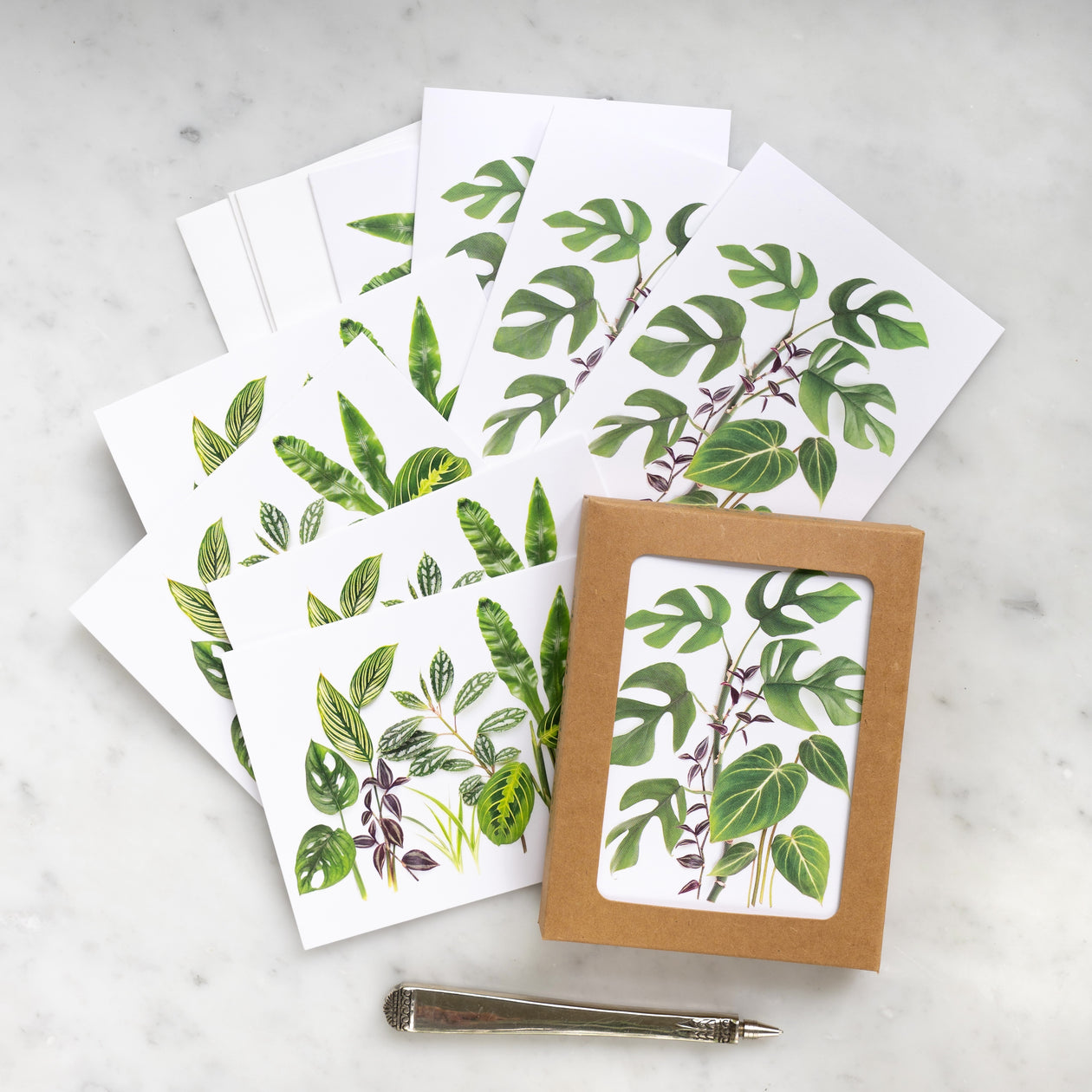 Card set - Houseplants