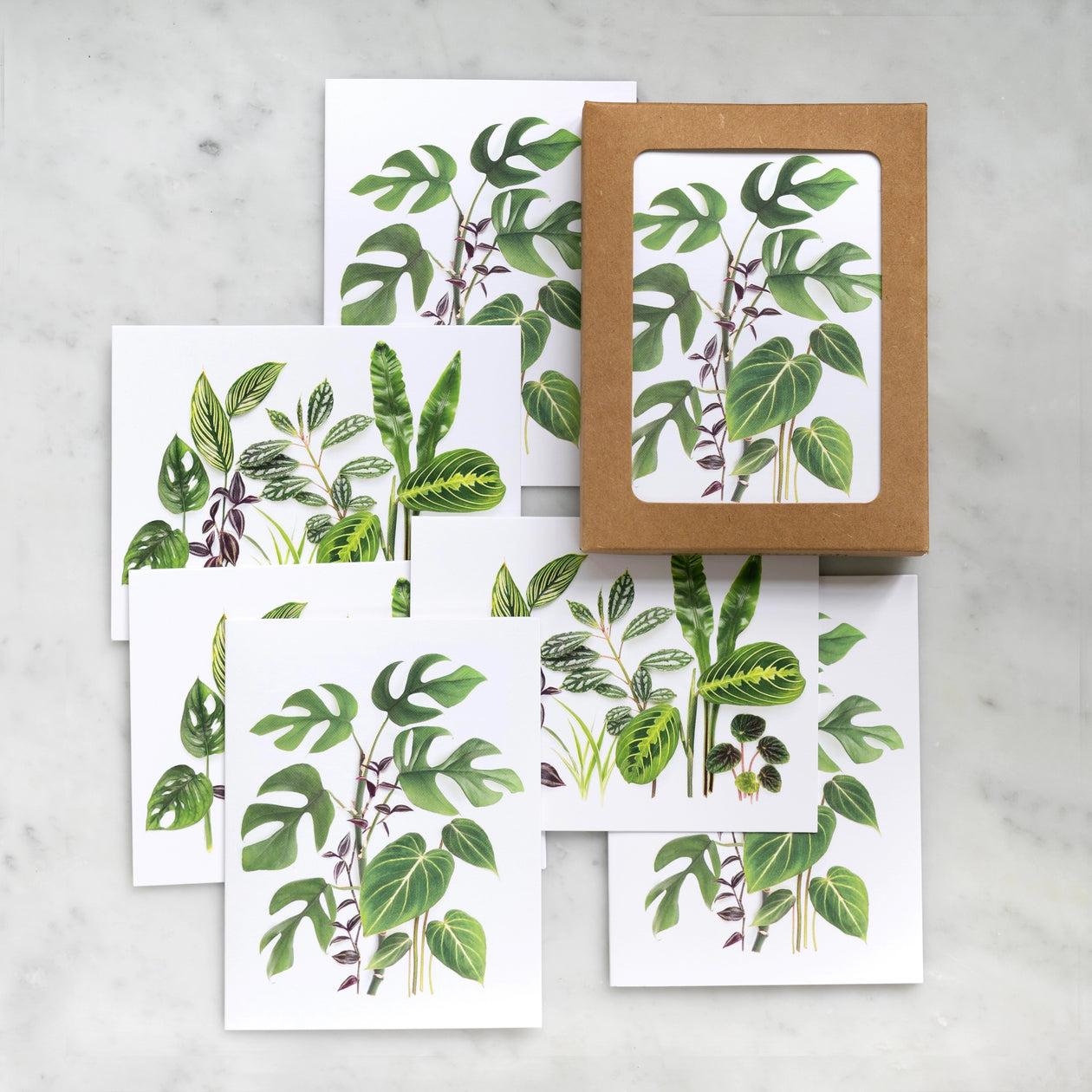 Card set - Houseplants