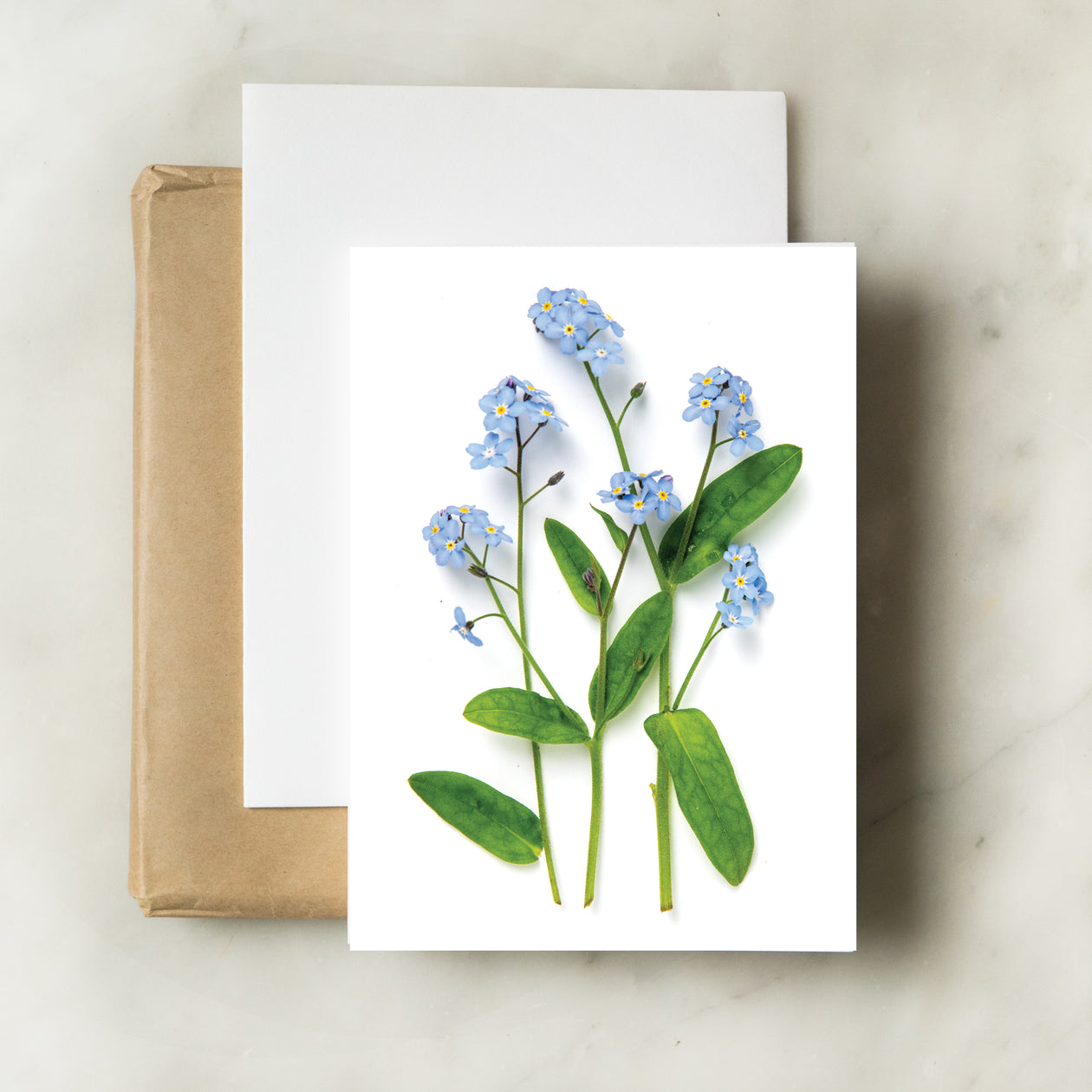 Folding card - Forget-me-nots