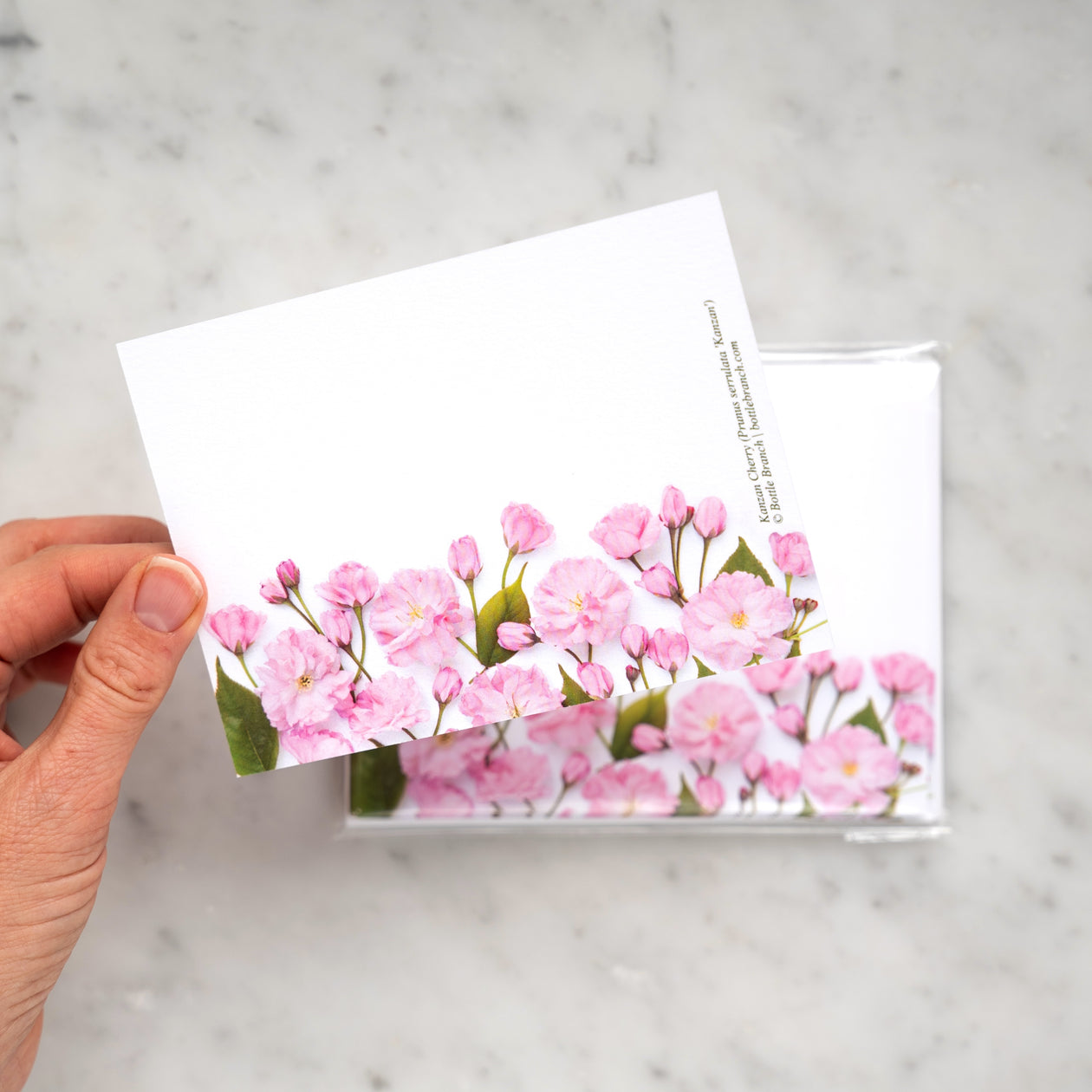 Flat card set - Cherry Blossom