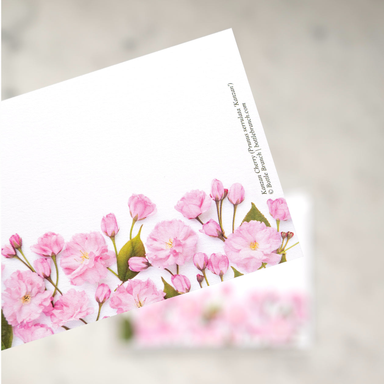 Flat card set - Cherry Blossom