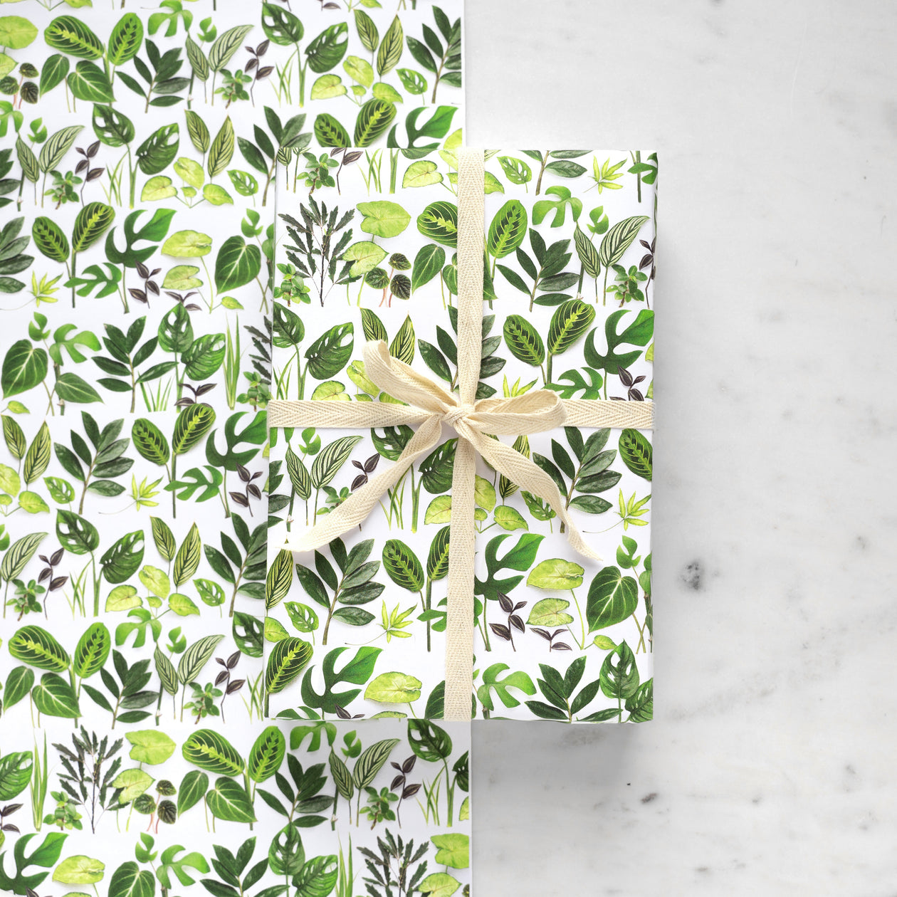 Gift wrap ~ Houseplants