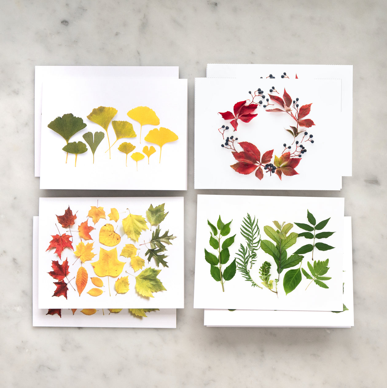 Card set - Leaves