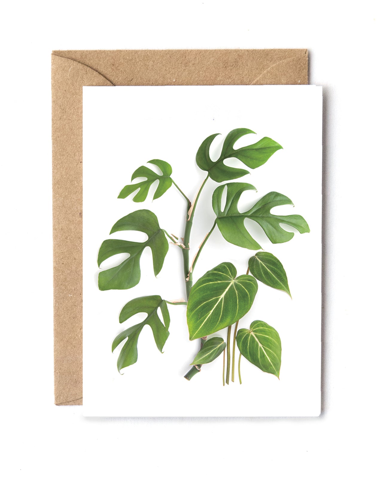 Mini card - House plants