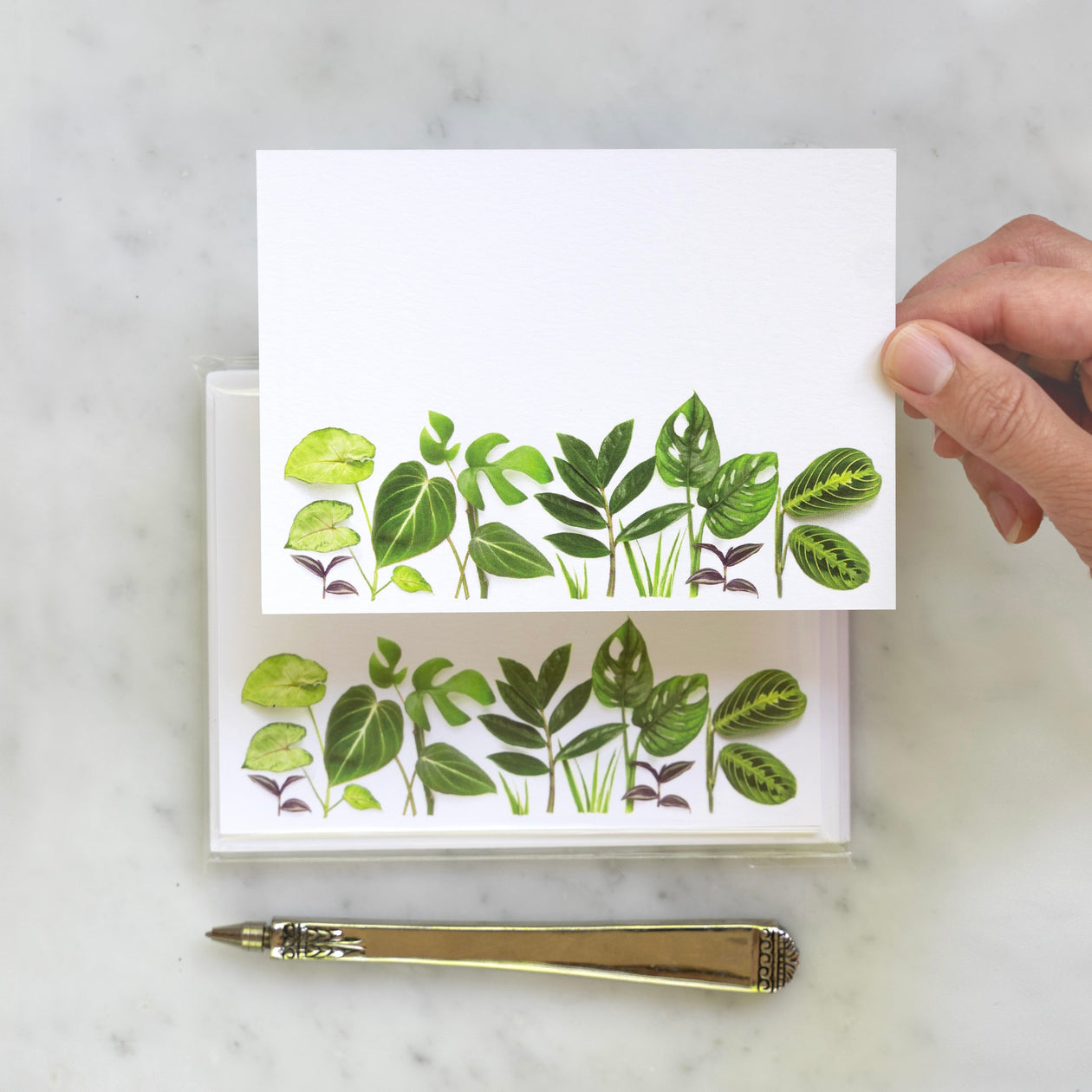 Flat cards  ~ Houseplants