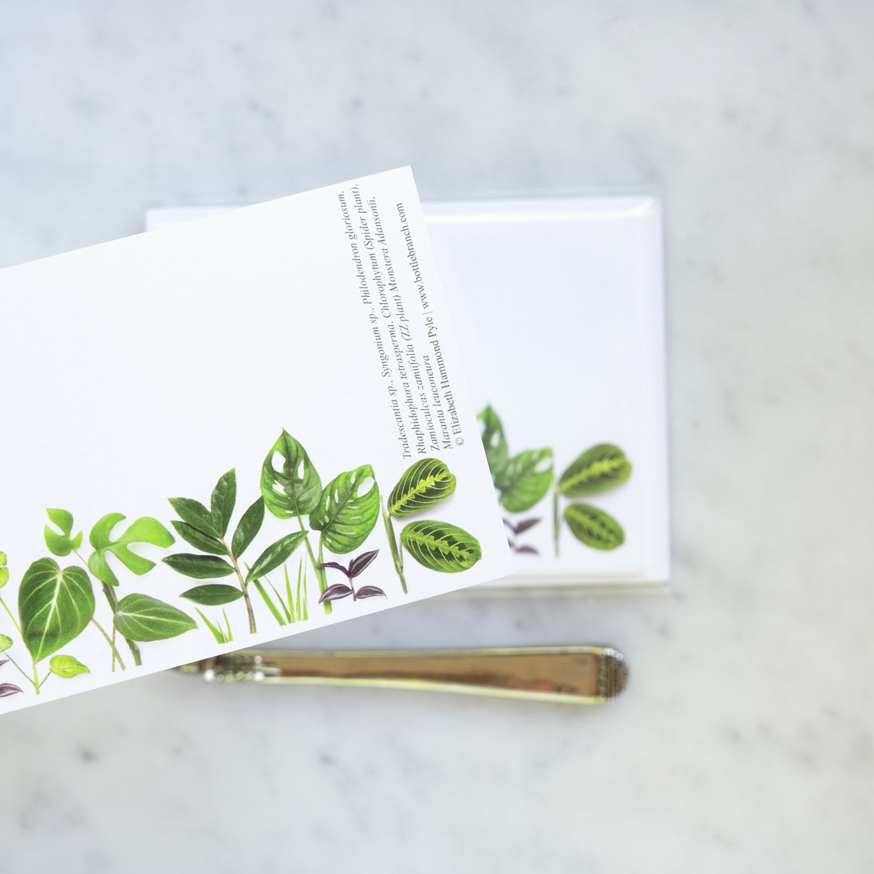 Flat cards  ~ Houseplants