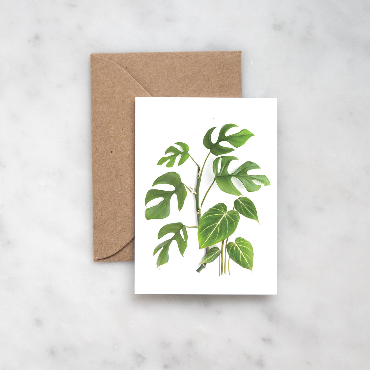 Mini card - House plants