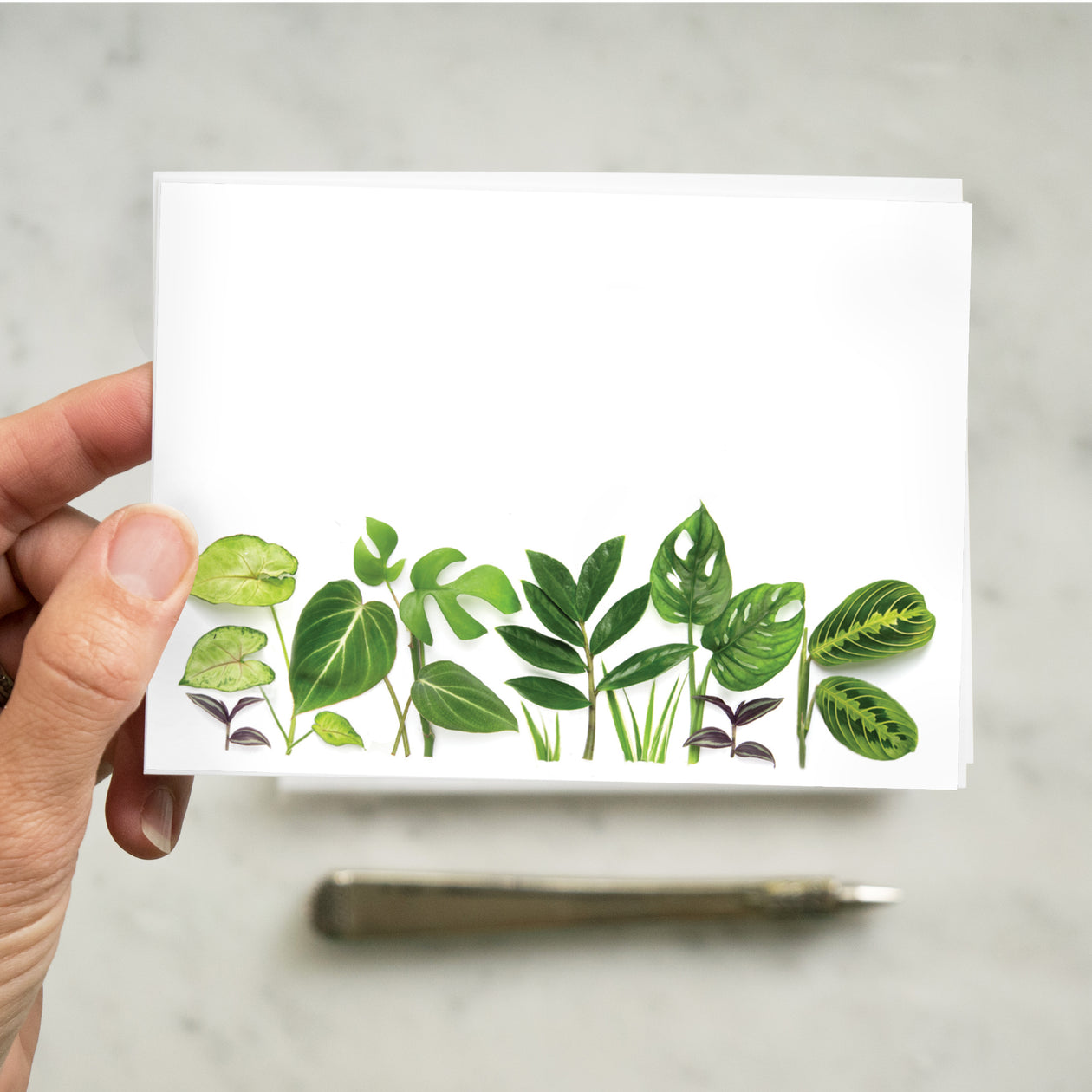 Flat cards  ~ Houseplants