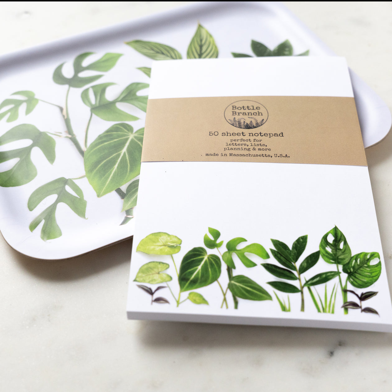 Gift set - House plants