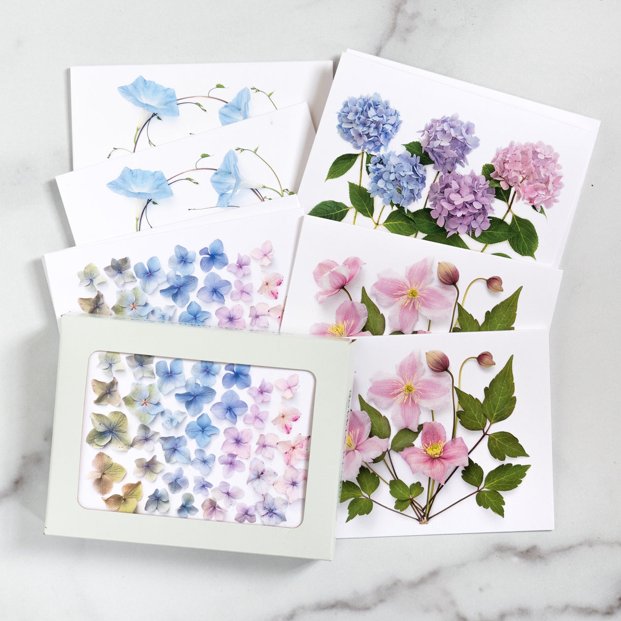 Card set - Hydrangea and Flowering vines