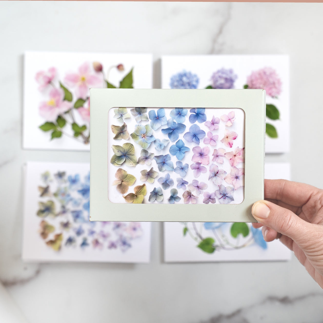 Card set - Hydrangea and Flowering vines