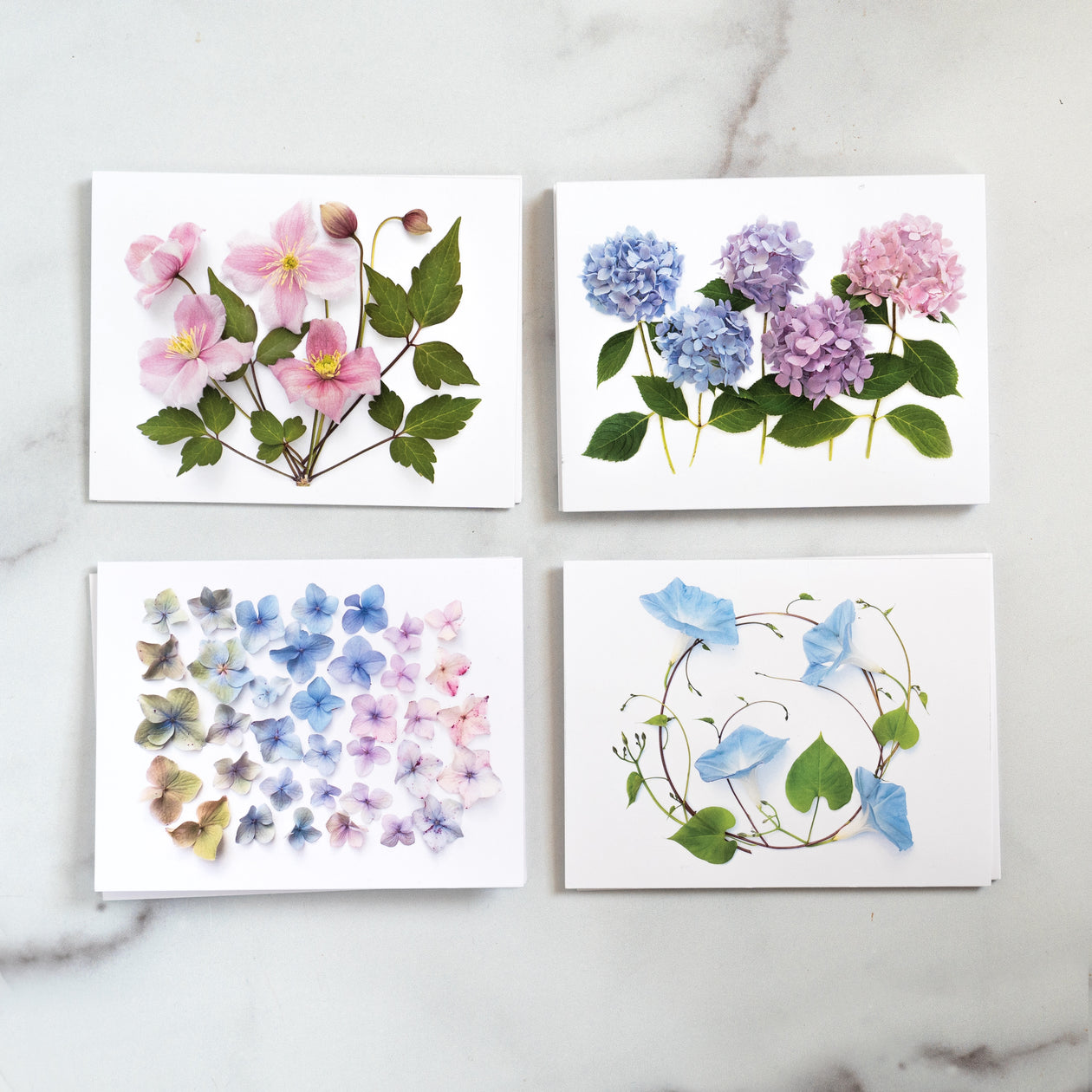 Card set - Hydrangea and Flowering vines