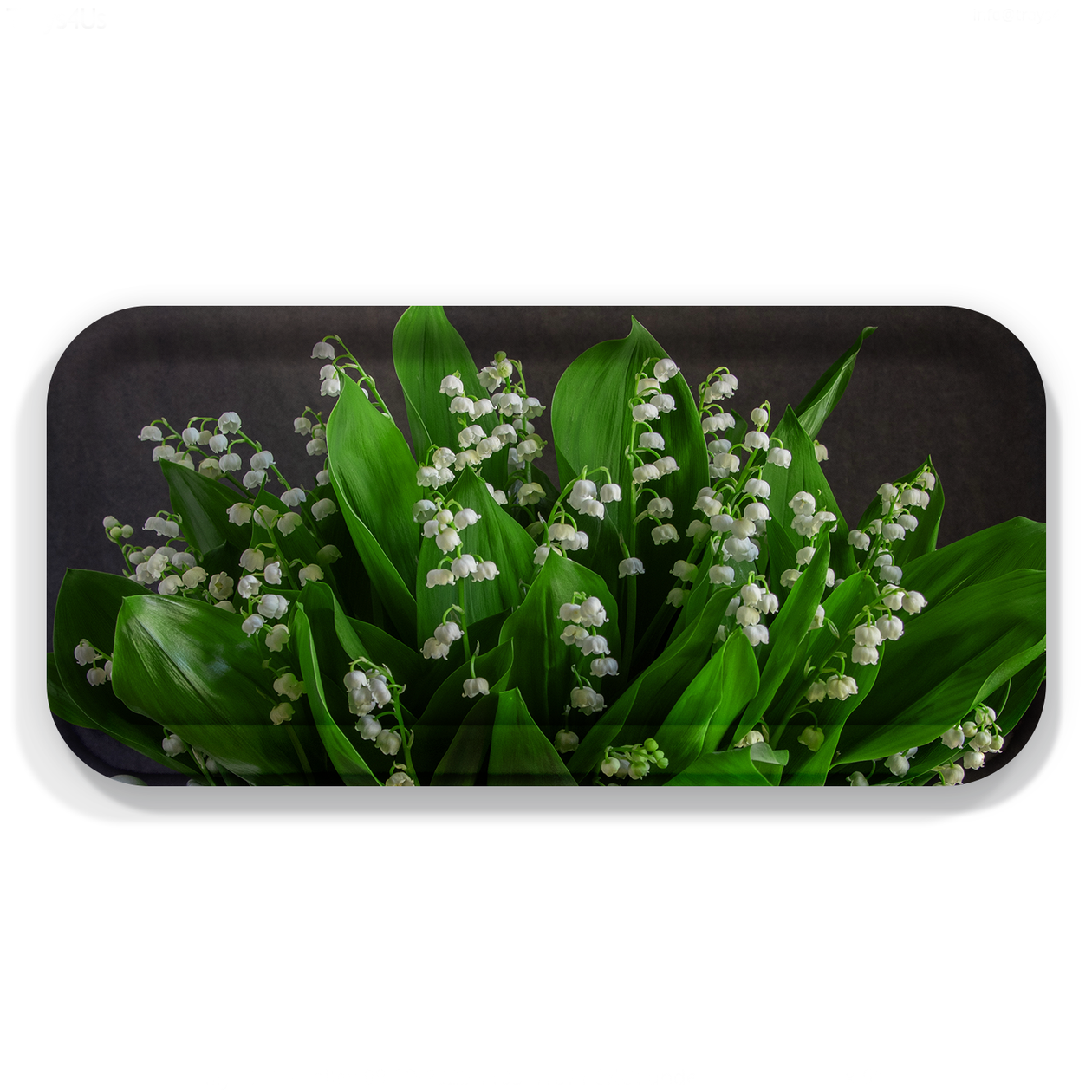 Tray - Lily of the Valley