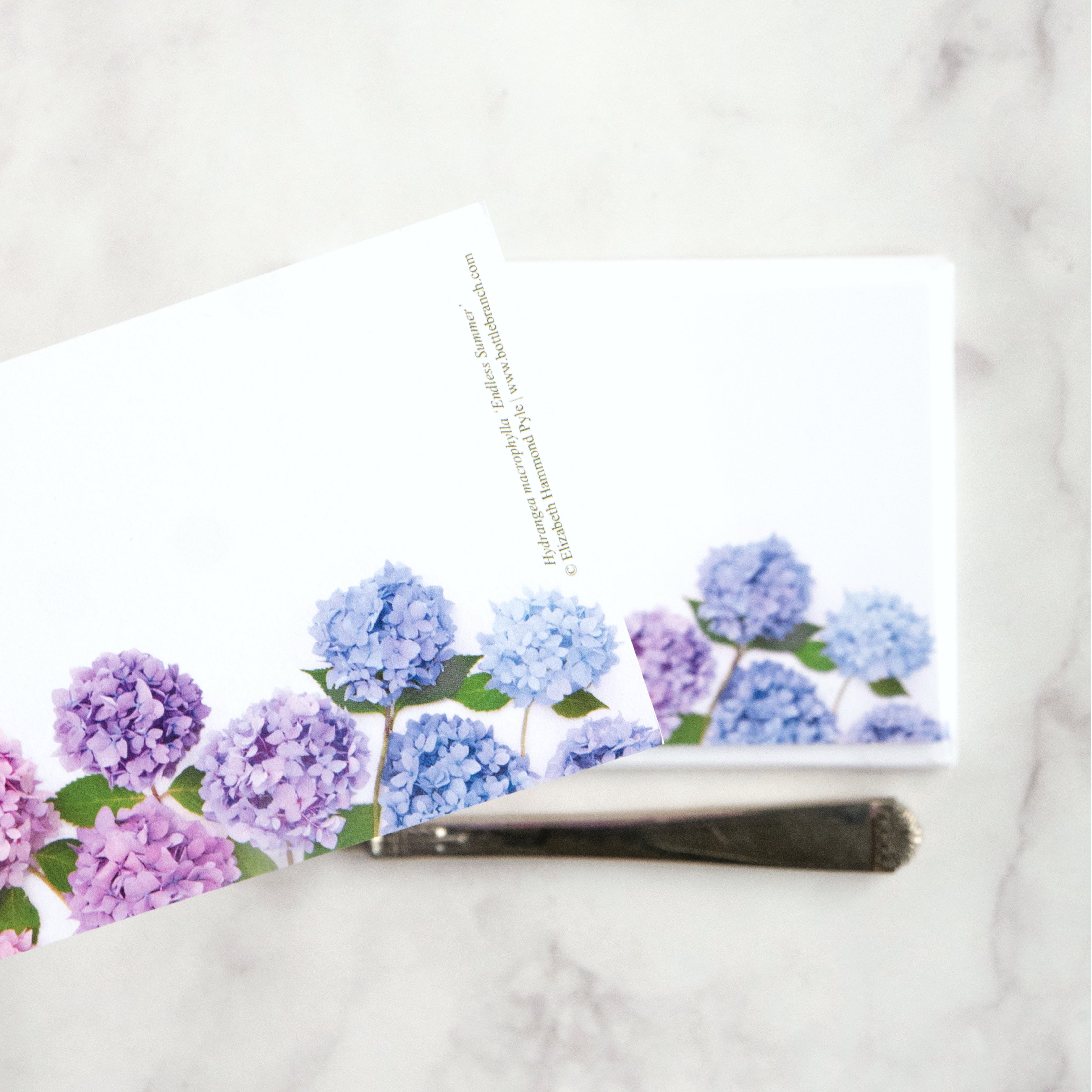 Flat card set - Hydrangea – BottleBranch