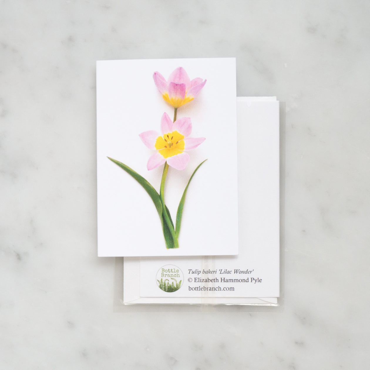 Mini card - Pink Tulips